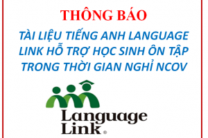 TÀI LIỆU TIẾNG ANH LANGUAGE LINK HỖ TRỢ HỌC SINH ÔN TẬP TRONG THỜI GIAN NGHỈ NCOV