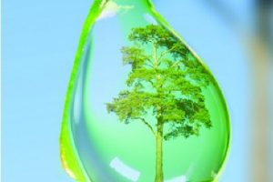 TUẦN LỄ QUỐC GIA NƯỚC SẠCH VÀ VỆ SINH MÔI TRƯỜNG NĂM 2021