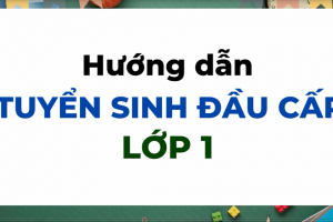 HƯỚNG DẪN TUYỂN SINH TRỰC TUYẾN ĐẦU CẤP LỚP 1 – NĂM HỌC 2023-2024